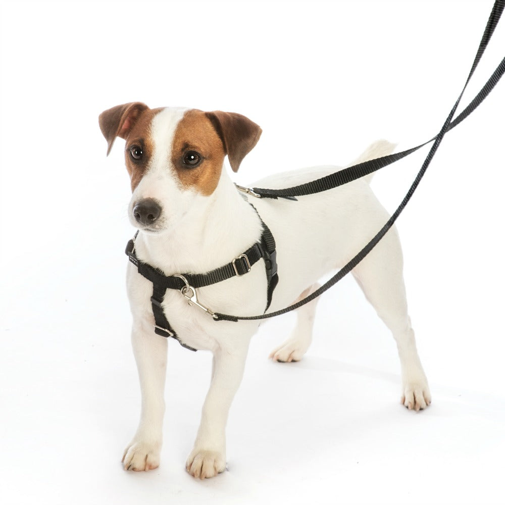 Freedom No Pull Harness XSmall 5/8 - Positive Dog Products
