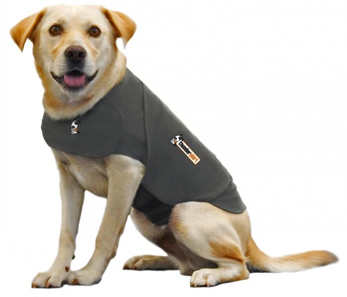 Thundershirt sizing store