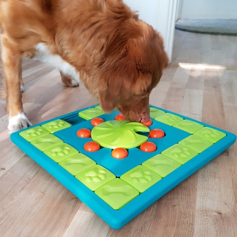Nina Ottosson - Level 4 Dog Puzzle